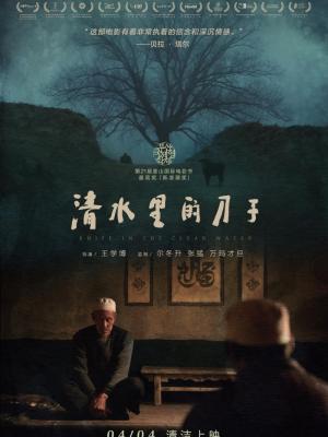 青春密码